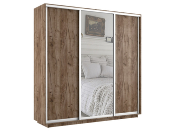 Шкаф-купе Экспресс Люкс 3-х дверный (ЛДСП, зеркало)